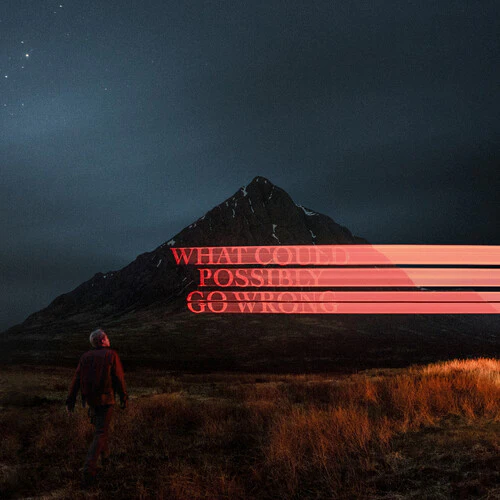 Dominic Fike - What Could Possibly Go Wrong LP