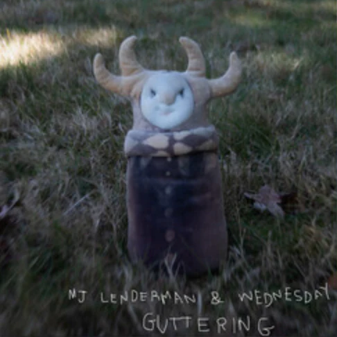 MJ Lenderman / Wednesday - Guttering Green LP